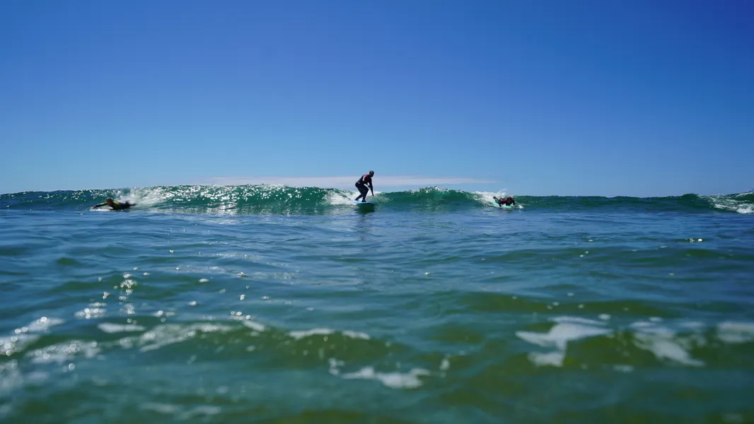 Session photo