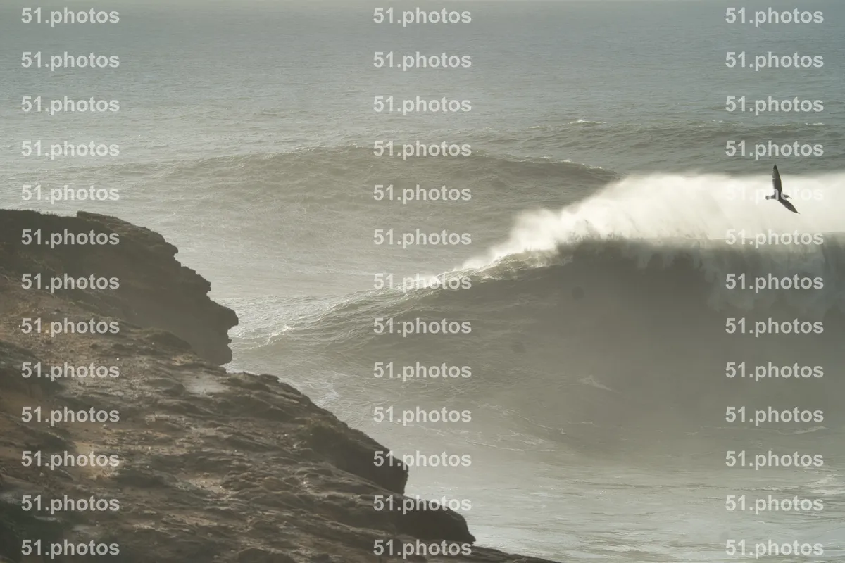 Surfing shot by Lars Van der Veen in Praia Norte